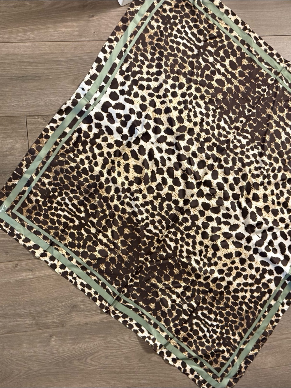 Echo Leopard Print Throw with Sage Trim